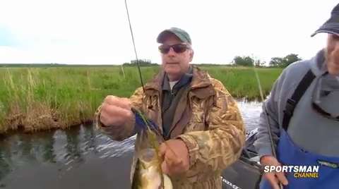 NextImg:Swimming Jigs For Bass