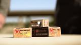 This or This: Hornady Critical Defense v. Hornady Critical Duty