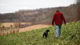 Deer Dog: Food Plots and Dogs